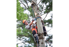 Arborist Equipment