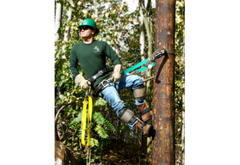 Climbing & Fall Protection