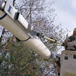 JAMESON- Long Reach Chainsaw Holder with Locking Straps & Handle (81-24-03F)